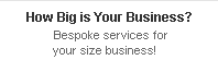 How big is your business?